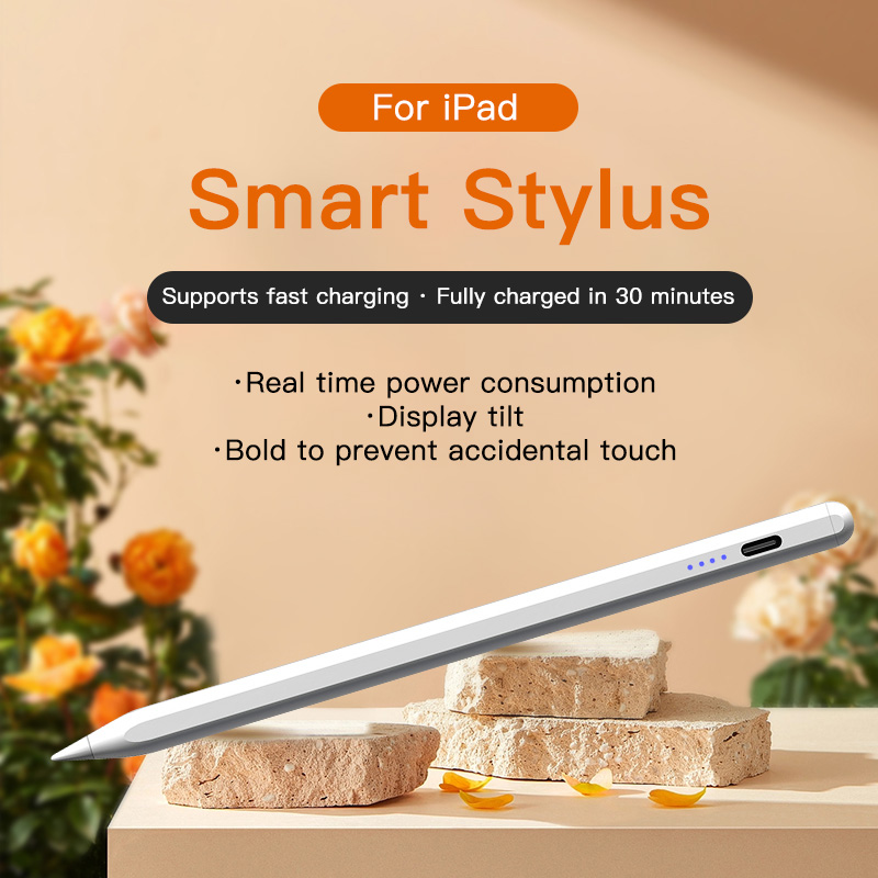 Eingabestift für Apple Pencil  – Tablet Accessories For Kids Bewertung und Preis